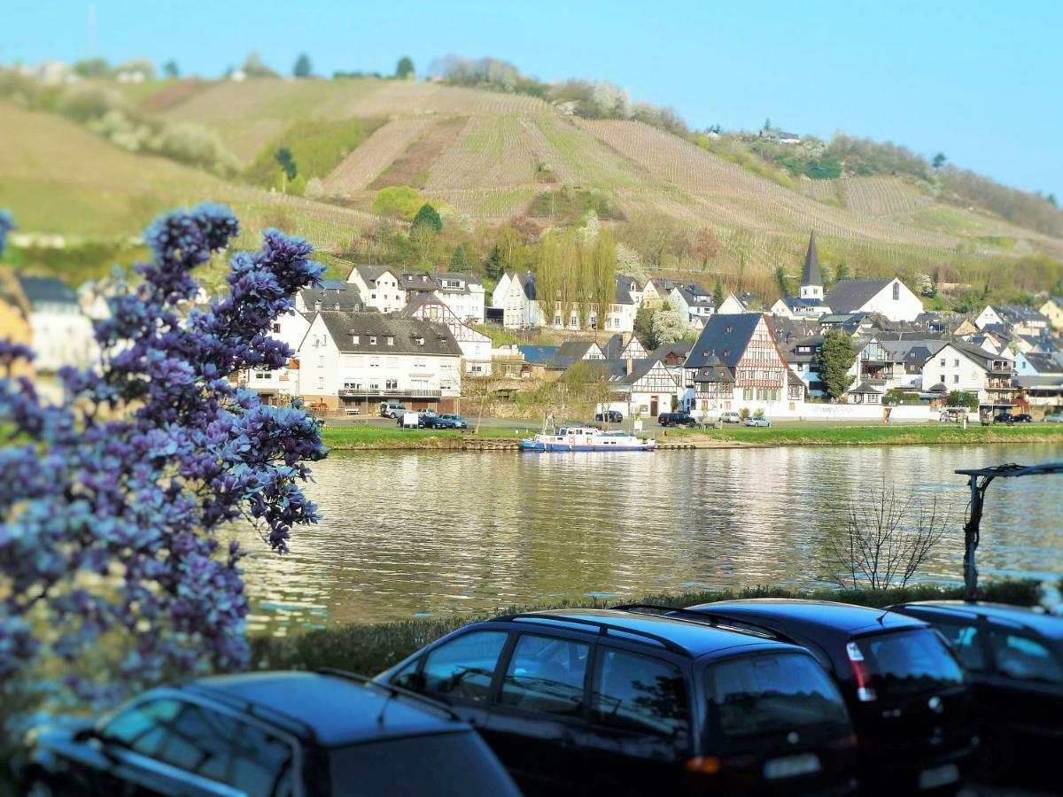Mosel Ausblick Apartment Zell an der Mosel Bagian luar foto