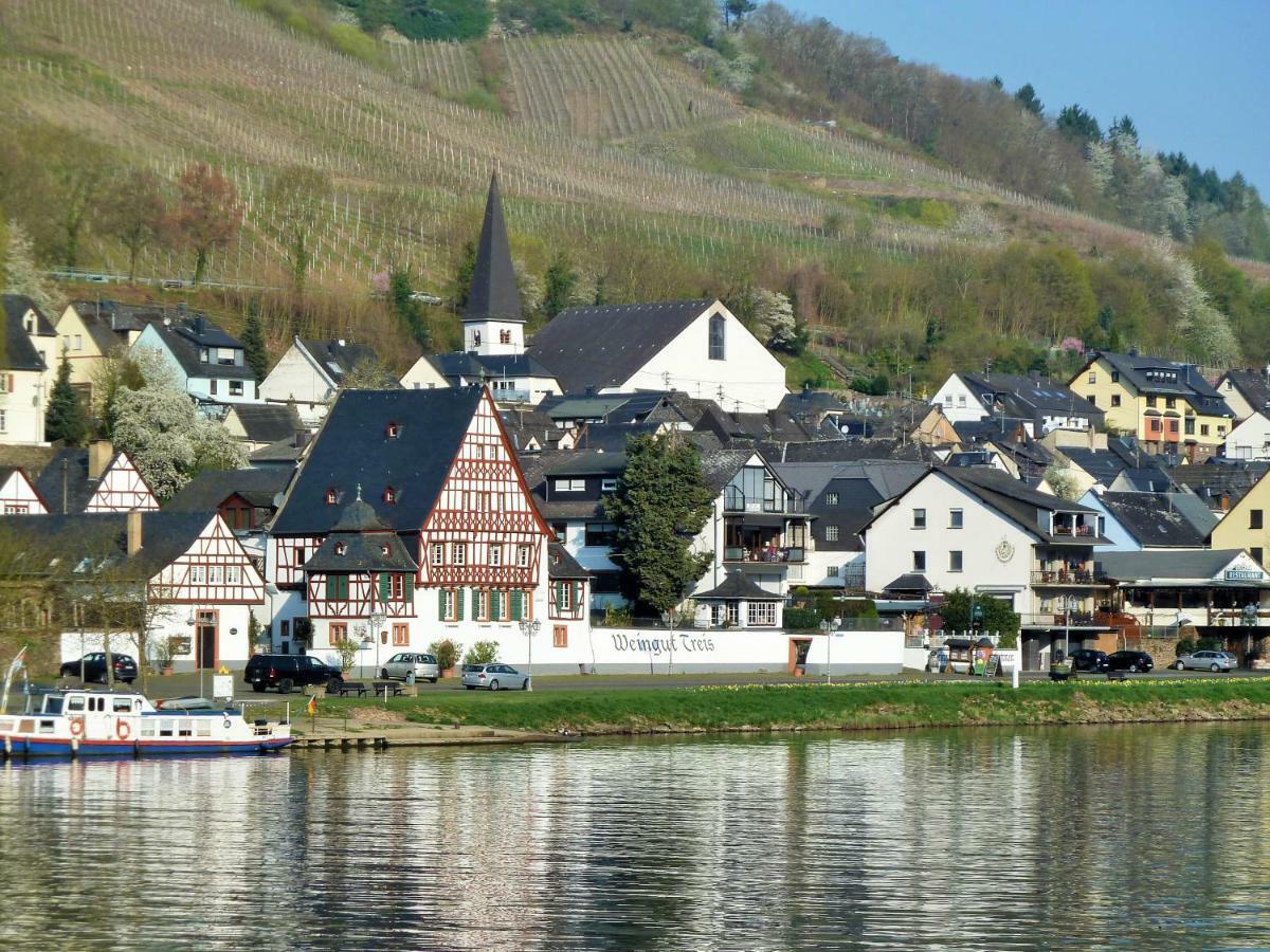 Mosel Ausblick Apartment Zell an der Mosel Bagian luar foto