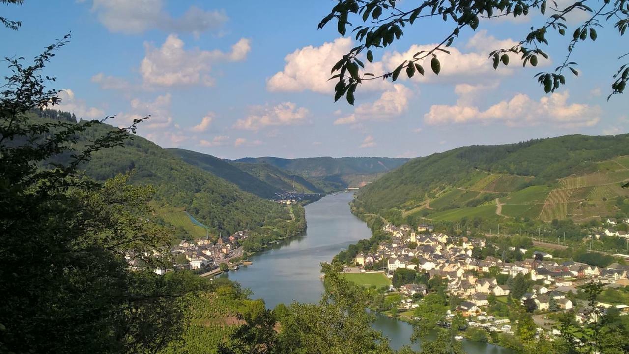 Mosel Ausblick Apartment Zell an der Mosel Bagian luar foto